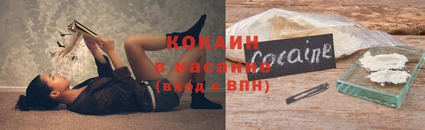индика Алексеевка