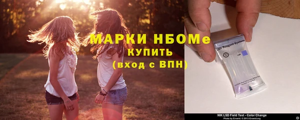 индика Алексеевка