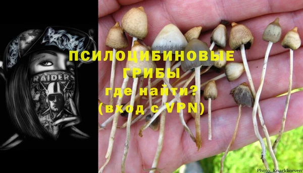 индика Алексеевка