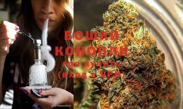 индика Алексеевка