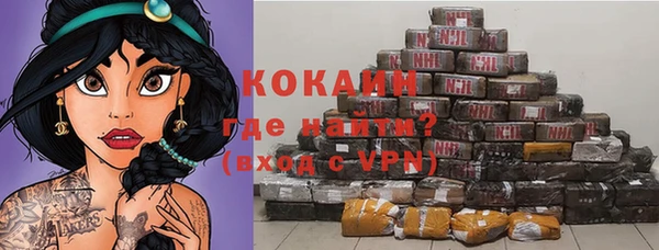 индика Алексеевка