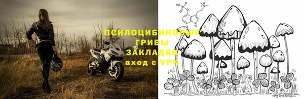 героин Алексин