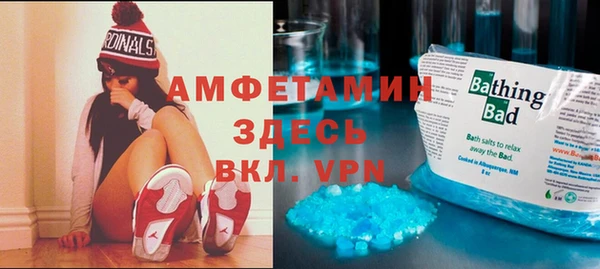 индика Алексеевка