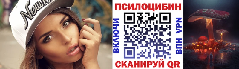 Галлюциногенные грибы мицелий  Хотьково 